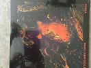 FOALS RAIN / DAFFODILS 2016 RSD 7
