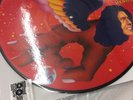 DAVID BOWIE PICTURE DISC THE MAN WHO SOLD THE WORLD RSD 2016 RECORD STORE DAY LP