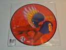 Bowie The Man Who Sold the World Picture Disc Record Store Day RSD LP 2016