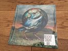 CIRCA SURVIVE / MEWITHOUTYOU 7
