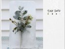 LA DISPUTE Tiny Dots // RSD 2016 //