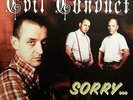 evil conduct,sorry no. vinyl lp,oi,isd,skinhead,rock o rama,