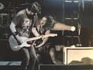 HALESTORM 