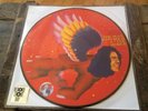 David Bowie RSD 2016 Man Who Sold the World - Picture Disc