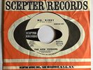 Fuzz Garage Freakbeat Psych 45 NEW YORKERS “Mr. Kirby” SCEPTER wlp ’67 nice HEAR