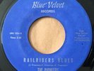 * PIONEERS Railriders Blues/Cindy RARE PSYCH FOLK GARAGE Blue Velvet 45 HEAR