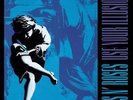GUNS N' ROSES - USE YOUR ILLUSION II (RM 180g) - VINYL LP