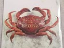 Mariachi El Bronx (I) by Mariachi El Bronx, LP, Vinyl, Aug-2009, Swami, OOP Rare