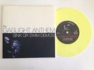 The Gaslight Anthem ?– Sink Or Swim Demos 7