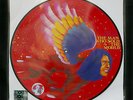 DAVID BOWIE The Man Who Sold The World PICTURE DISC, LTD ED RSD 2016 + TOTE BAG