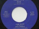 Rusty Samarco Climb The Sky Rare Private NJ Garage Punk Samarco Records 45