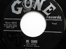 THE DUBS 45 Be Sure / Song In My Heart DOO WOP Original GONE mg798