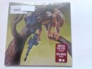 Sunny Day Real Estate/Circa Survive 