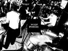 Wolf Parade - Apologies to the Queen Mary (LOSER EDITION) TRIPLE VINYL LP NEW