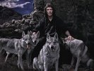 Steve Hackett - Wolflight [Vinyl New]