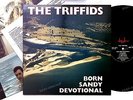 The Triffids - Born Sandy Devotional UK LP 1986 + Innerbag, Insert //1
