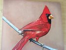 Alexisonfire - Old Crows Young Cardinals 12