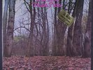 TWINK: Think Pink LP (Italy, 180 gram pressing reissue, gatefold cover, shrink)