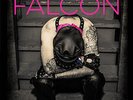 Gather Up The Chaps - Falcon (2016, Vinyl NEW)