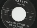 RARE ORIG NORTHERN SOUL DEEP 45 - BIG BUD HARPER - I'VE JUST GOT TO FORGET YOU