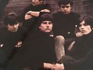 the sorrows take a heart original 1965 uk piccadilly 1st press lp mono npl 38023