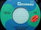 GASS CO.Warm as the sun Walk on by 1968 killer GARAGE PSYCH Fuzz 45 e5814