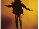 Last Shadow Puppets Vinyl LP Everything You've Come To Expect