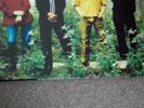 Ocean Colour Scene Marchin Already Limited Edition LP vinyl
