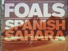 FOALS Spanish Sahara 7