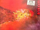 Buffalo - Volcanic Rock LP - Gatefold - Sealed - NEW COPY - Akarma