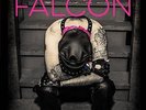 The Falcon - Gather Up the Chaps