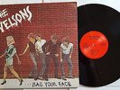 THE NELSONS - ... Bag Your Face PRIVATE 1982 POWER POP New Wave Texas (LP)