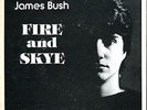 James Bush 45 Fire and Skye - Holy Grail Ohio Punk - HEAR