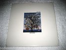 TALK TALK - Spirit Of Eden - Rare Original WHITE PROMO Parlophone LP EX+