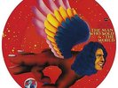 DAVID BOWIE - THE MAN WHO SOLD THE WORLD - NEW VINYL PICTURE DISC (RSD 2016)