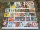 PEARL JAM - No Code 1996 Vinyl w/ 