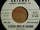 Donnie elbert ,, a little piece of leather ,, gateway demo