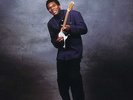 Robert Cray - Strong Persuader - 200g Analogue Productions LP APB 051
