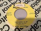 RARE 45 ?? Rudy Grayzell ?? Rockabilly-Rocker-Rock & roll-R&B-Blues