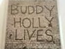 NEW sealed  Buddy Holly / The Crickets  20 Golden Greats   LP  Vinyl  Record