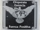 Orquesta Esencia - Fuerza Positiva LP - Palo Monte Rare Latin Salsa Funk SEALED