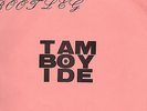 TAM/BOY/IDE[BOOTLEG]10''(ADK)G-ZET/GISM/SWANKIES/ZOUO/GAPANESE HARD CORE