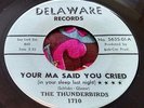 Tough Garage Punk Frat Dancer 45 Thunderbirds Your Ma Said You DELAWARE NM HEAR