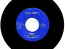 THE GUYS WHO UP FROM DOWNSTAIRS Rare Iowa Garage Fuzz 45-Single 