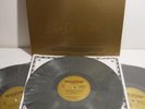 ROLLING STONES Basel '90 LP 3xLP GREY MARBLE VINYL 1990 SWINGIN' PIG orig NM+