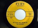 CHANNELS 45 My Love Will Never Die / Bye Bye Baby FURY Doo Wop 1st PRESS mg815