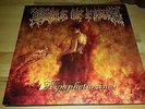 Cradle of filth - Nymphetamine - 2LP Yellow Vinyl