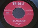 Ray Agee   Wobble-Oo / Something Wrong   Tridelt   mod / northern soul 45 HEAR