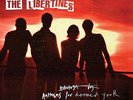 The Libertines 7