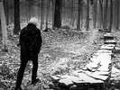 GRAHAM NASH 